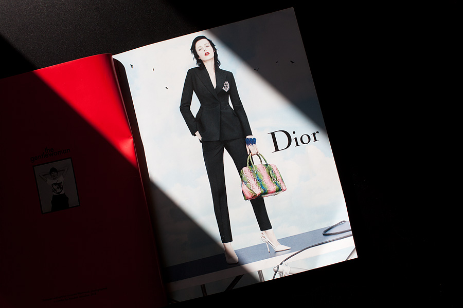 lehdestä_siluetti_gentlewoman_dior_900px